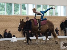 DSC_1938_web
